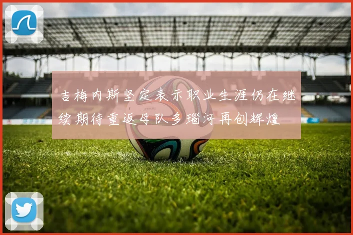 吉梅内斯坚定表示职业生涯仍在继续期待重返母队多瑙河再创辉煌